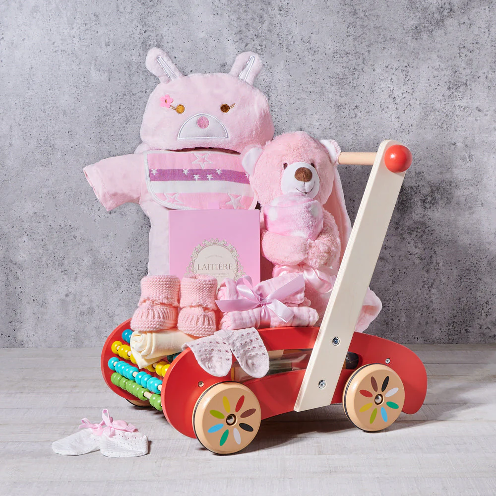 Baby Girl Baby Walker Gift Set