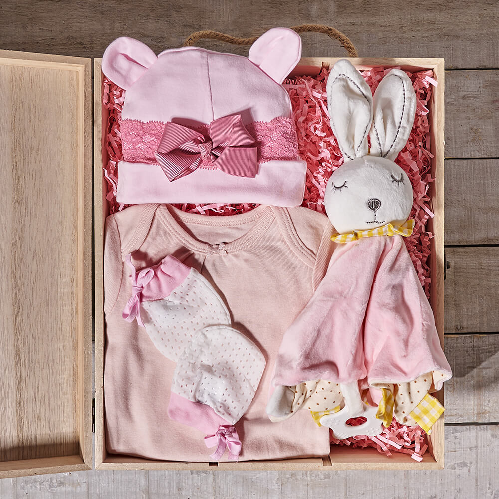 Baby Girl Crate