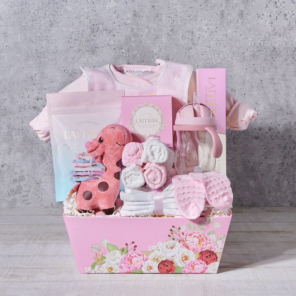 Baby Girl Gift Basket