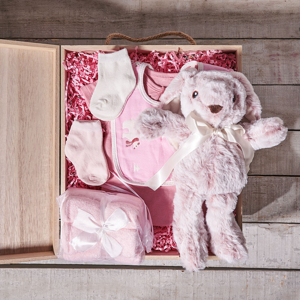 Baby Girl Starter Crate