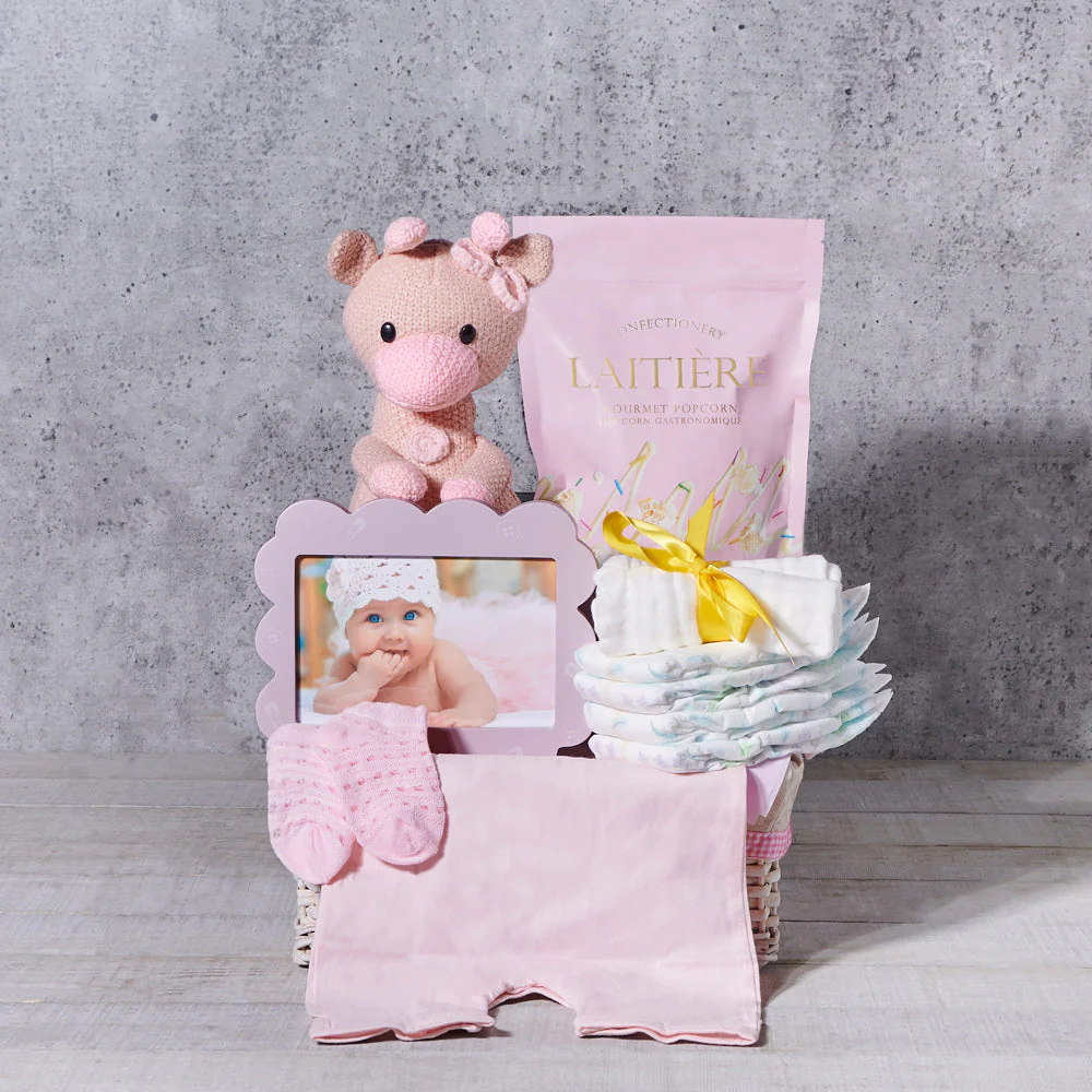 Complete Baby Girl Gift Basket
