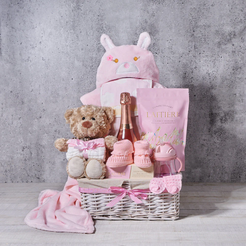 Cozy Celebration Baby Girl Gift Basket