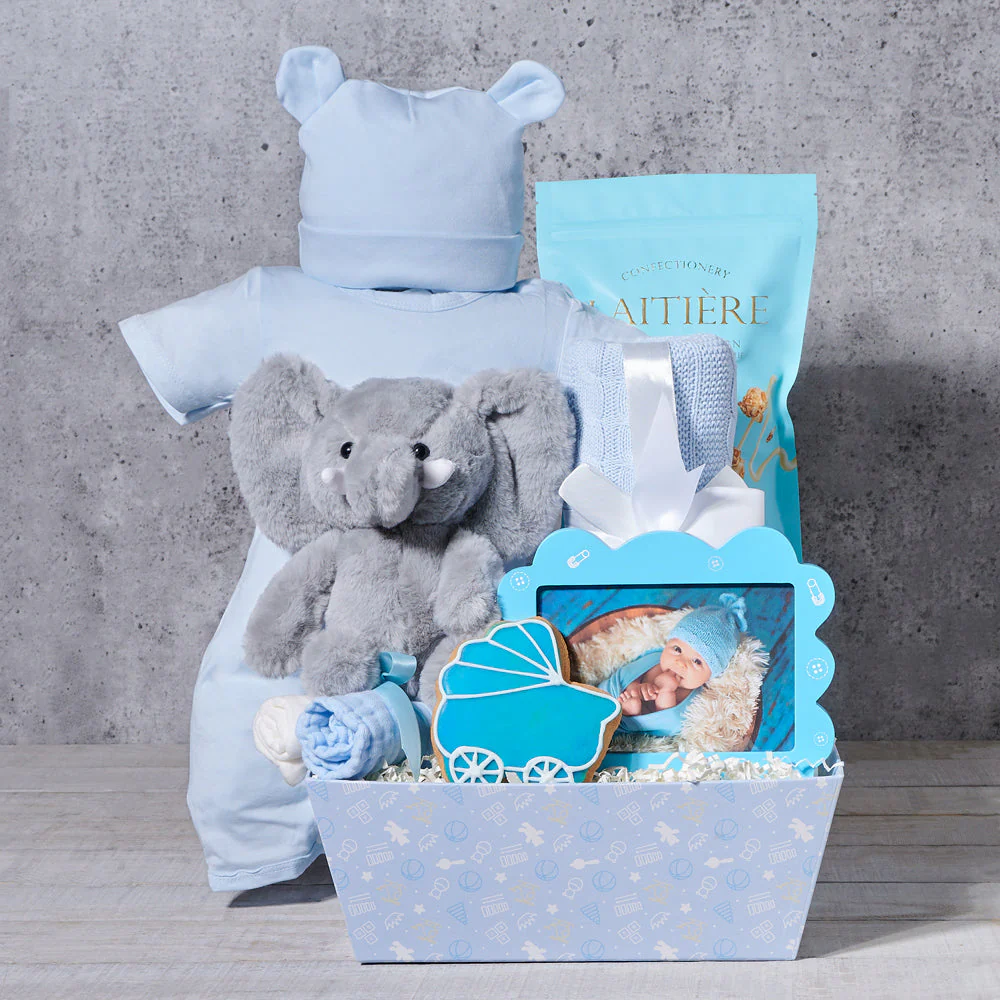 The Cuddles Baby Boy Gift Basket
