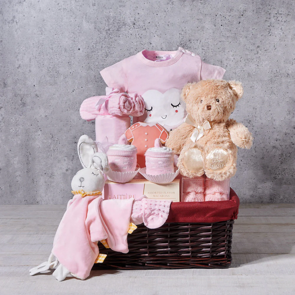 Entertaining Baby Girl Gift Basket