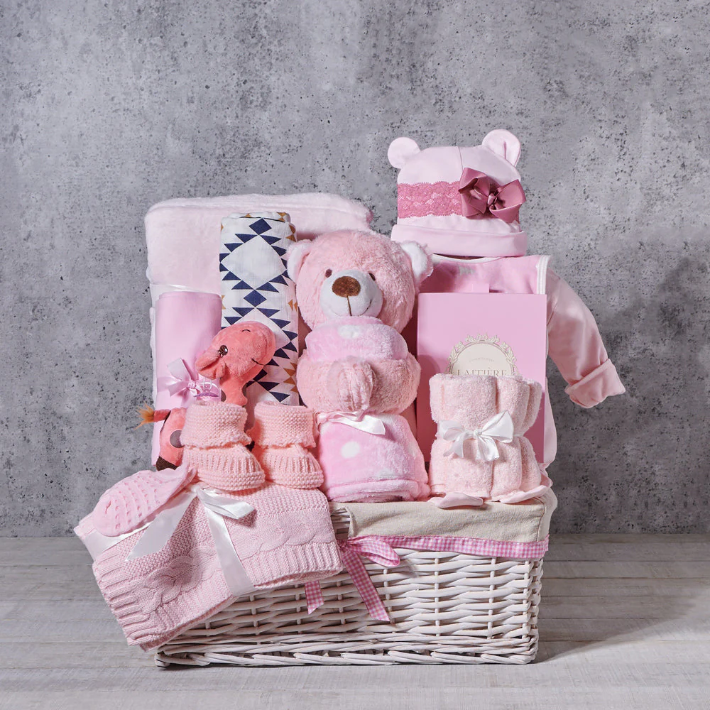 Lush & Cozy Baby Girl Gift Basket