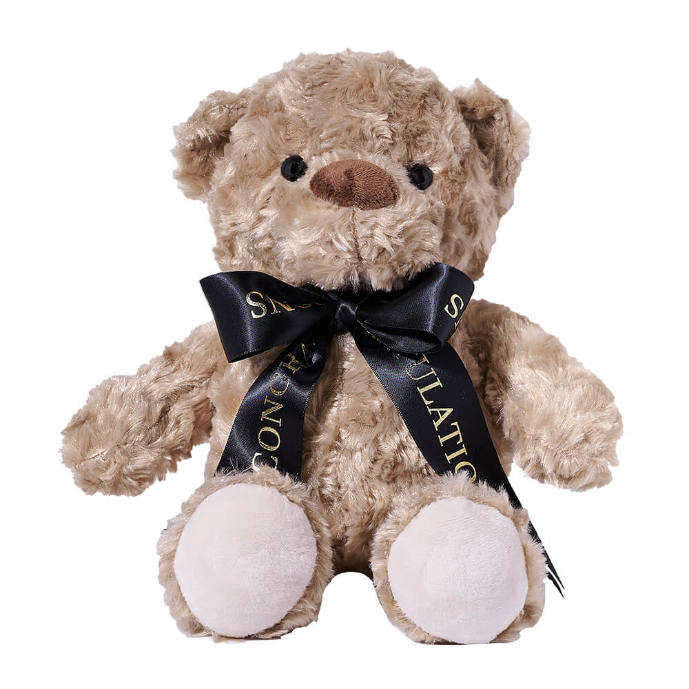 My Grad Teddy Bear