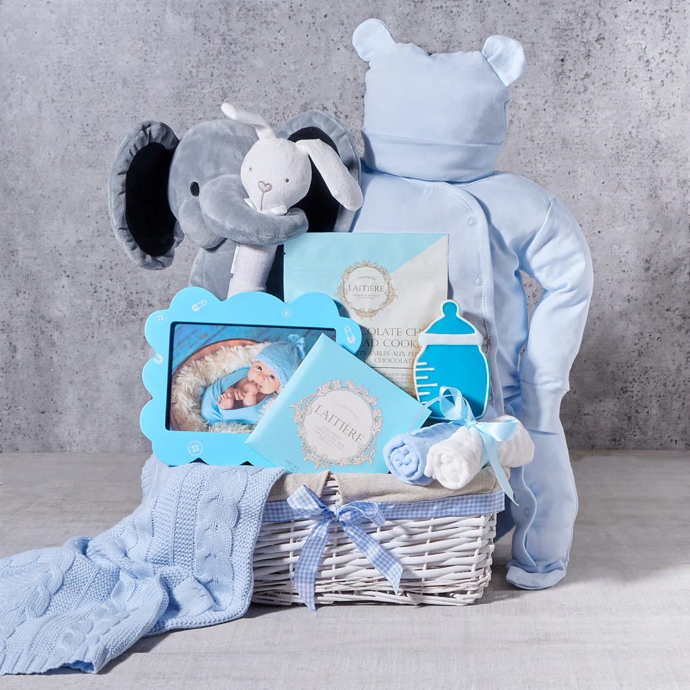 Newborn Baby Boy Gift Basket