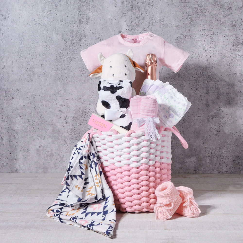 Newborn Baby Girl Gift Basket