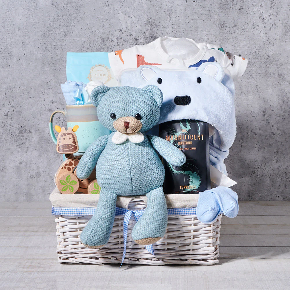Perk Up Baby Boy Gift Basket