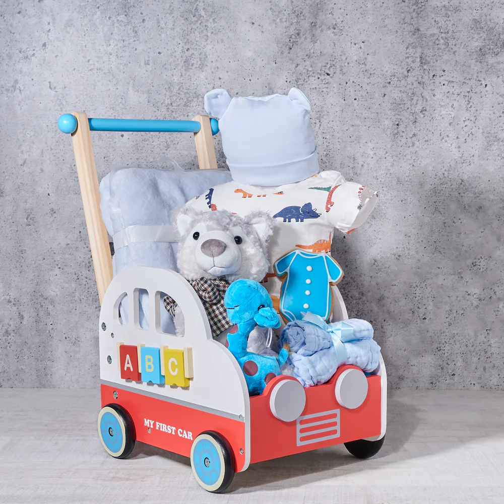 Plush Toy & Car Walker Baby Gift