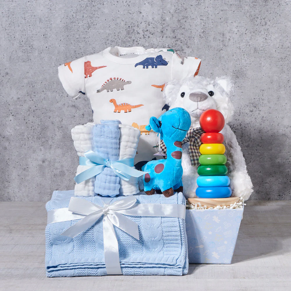 The Baby Boy Little Dinosaur Gift Set